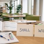 Shall vs Will